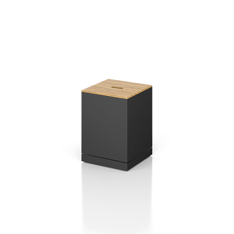Box mit Holzdecke (45,5 / 33 / 33 cm): 490 Euro